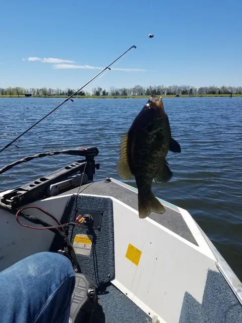 Two Moons Rising Country Inn