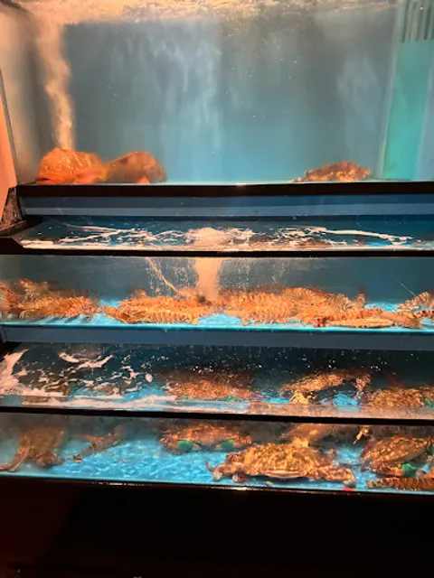 よりしま多幸半