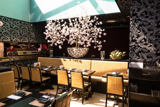 Yasumi Sushi & Grill