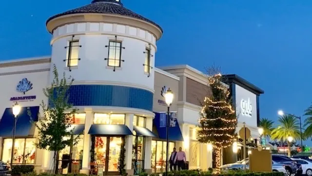 AGAPANTHUS - Gainesville