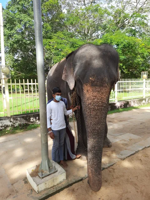 Katharagama Maha Dewalaya