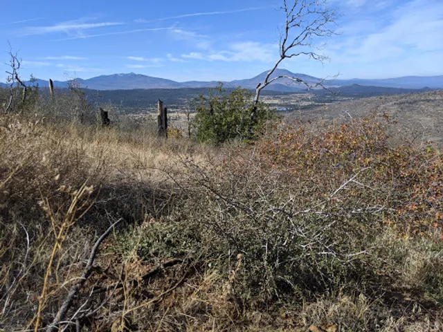 Lassen National Forest