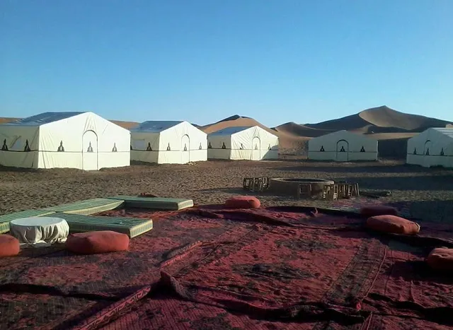 Camping Les Palmeraies