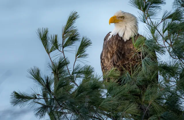 LeRocher Bookstore and Gift Shop by the Starved Rock Foundation
