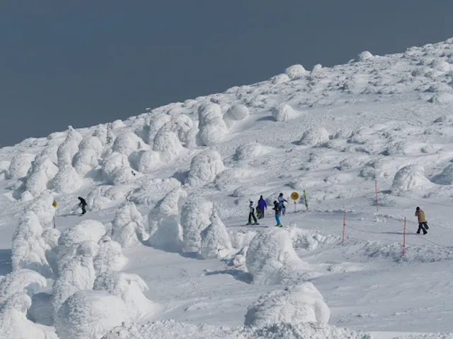 Zao Snow Monster Forest