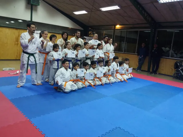 Centro Deportivo Dragones de La Reina