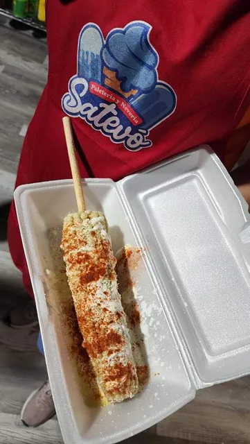 Paleteria Y Neveria Satevó