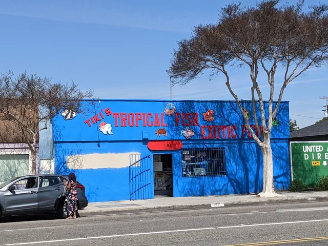 Tiki's Tropical Fish