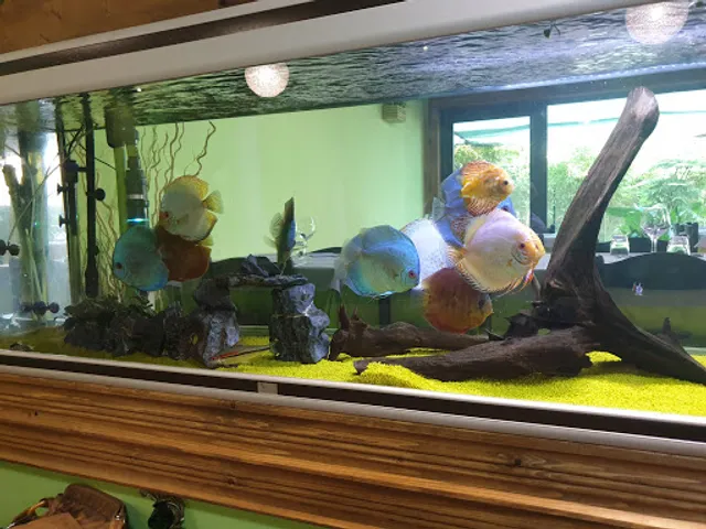 Due di picche S.r.l.