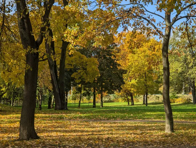 Polyustrovskiy Sad