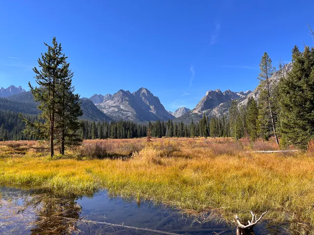 Fishhook Creek at Trail's End