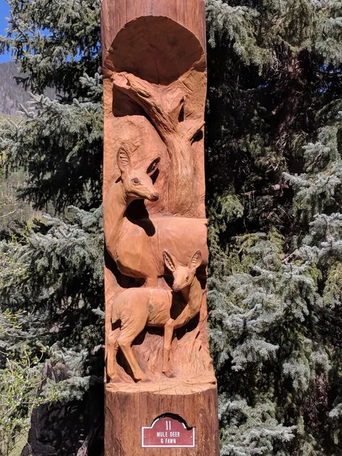 Eagle's Nest Cabins & Homes