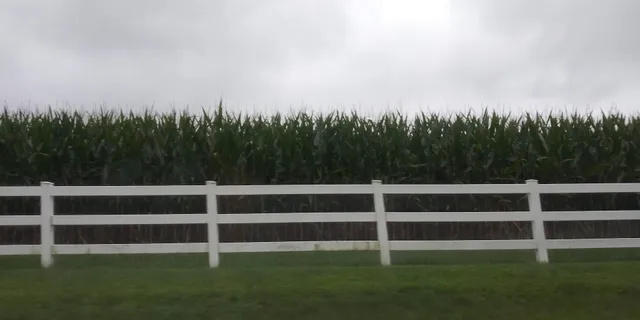 Big Pine Farms Produce