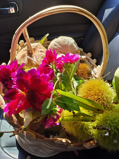 Bio-Weingut Zollweghof Lana - Franz Pfeifhofer und Irmgard Windegger