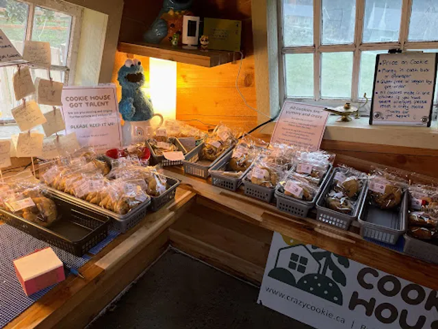 The Crazy Cookie House