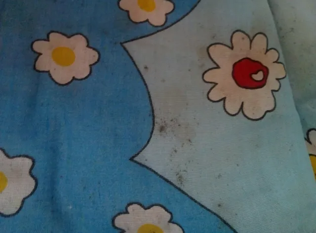 Apartamentos San Roque 18.