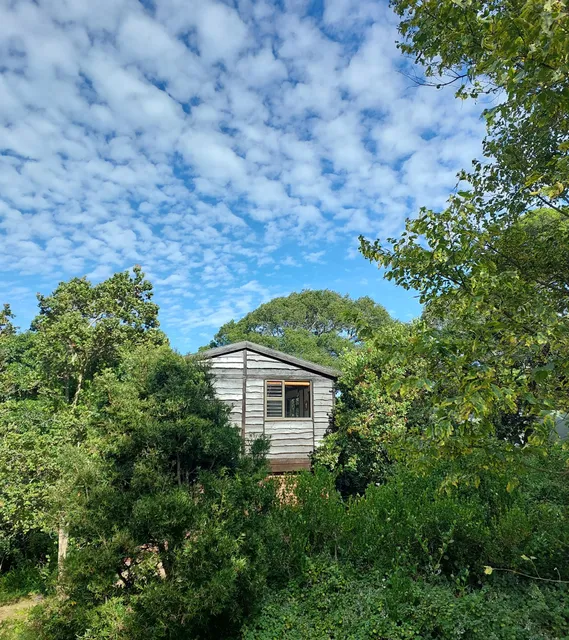 Treehouse Cottage