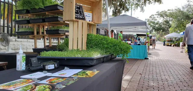 Mount Dora Village Market