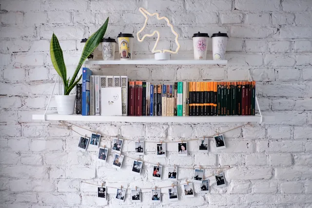 Кофейня "Cat in Space"