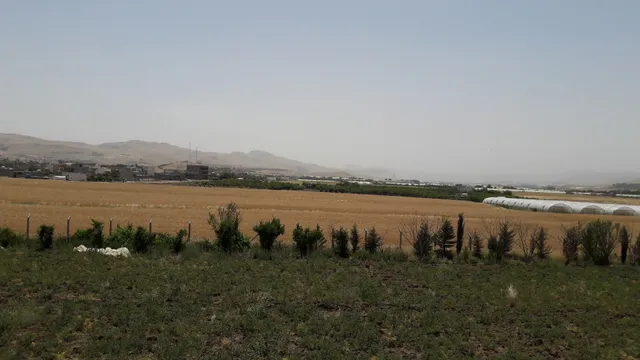 مینی مارکێتی ئەڵڵایی