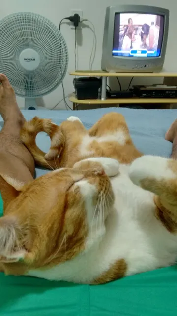 Bar Da Luiza e Francisco