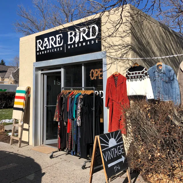Rare Bird Vintage