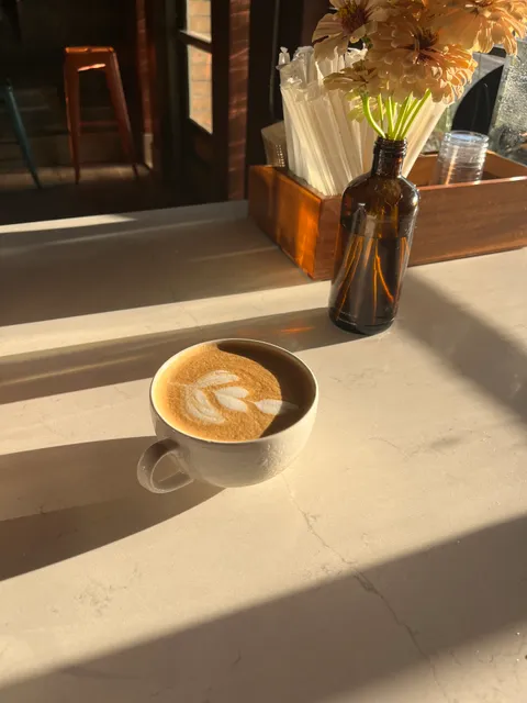 Monstera Coffee Studio