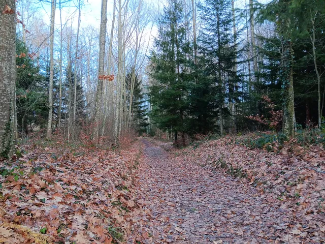 Refuge de la reine Berthe
