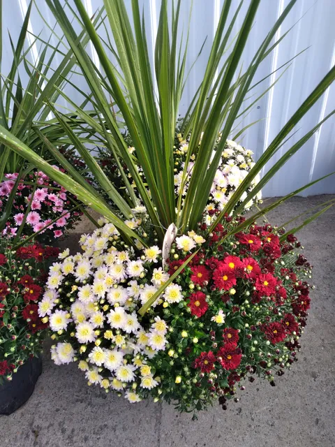 Woodbine Farm Market