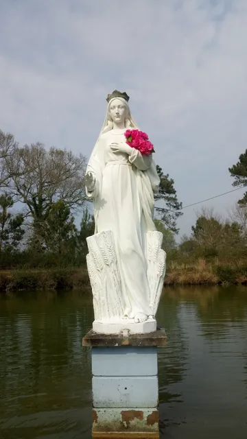 l'orée de la forêt