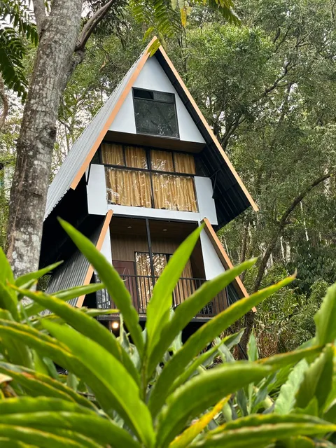 Silver Trees Plantation Tree House Munnar