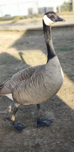 Stewart Park Natural Area