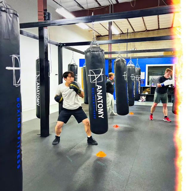 Anatomy Boxing & Fitness