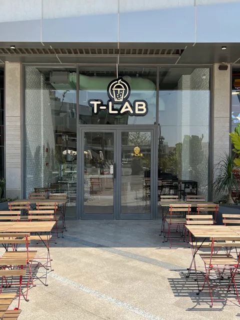 T-LAB