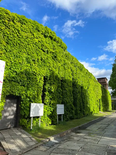 アイビースクエア