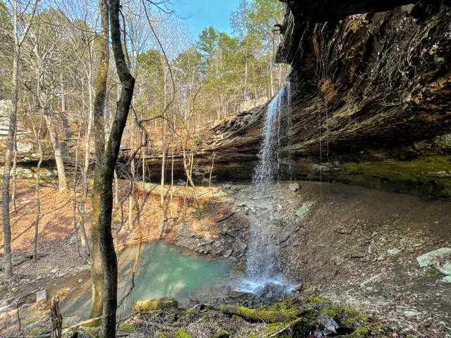 Bingham Hollow Falls Trailhead