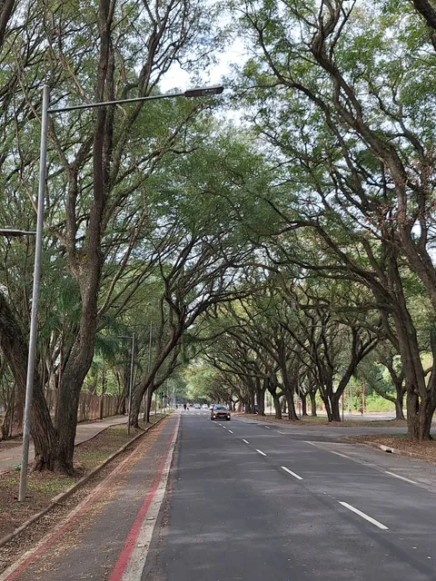Universidade de São Paulo