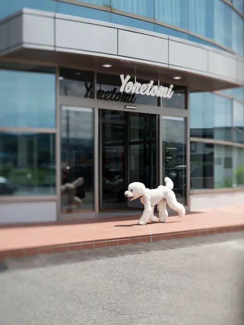 Yonetomi STORE(ヨネトミストア)