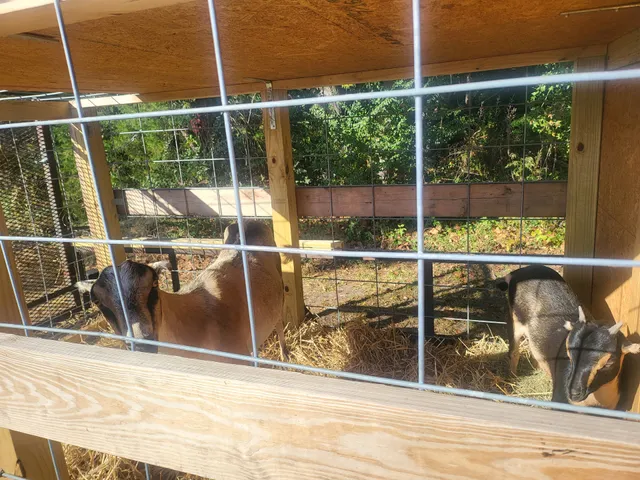 Bladenboro Farmers Market