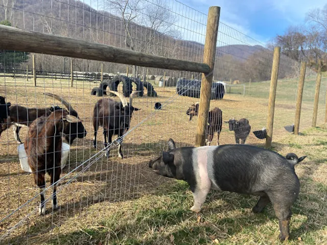 Graves Mountain Farm Festivals, Experiences & Events