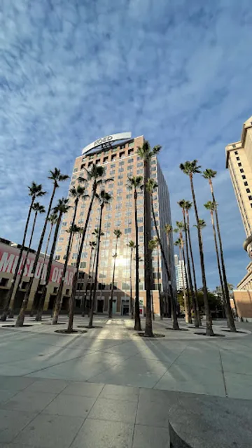 Circle of Palms Plaza