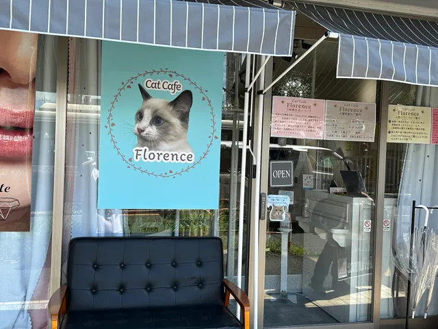 Cat Cafe Florence
