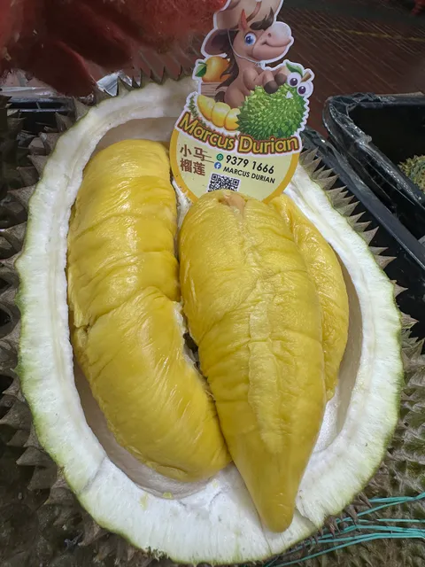 marcus durian 小马榴莲