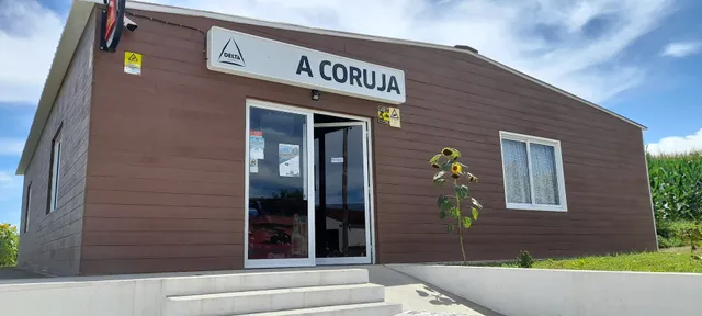 A coruja 🦉