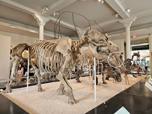 American Museum of Natural History