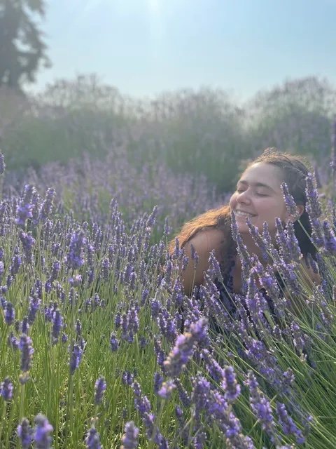 Meli's Lavender