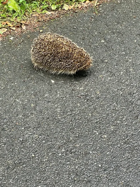 Mauk "Krayevedcheskiy Muzey Gorodskogo Okruga Egvekinot"
