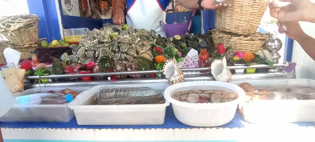 Kiosque des huitres de oualidia N°4