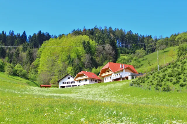 Ferienwohnung Stinneshof Urlaub im Schwarzwald gerne auch mit Hund