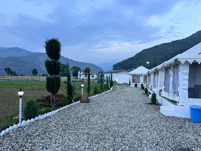 The Monkey Tail Resort